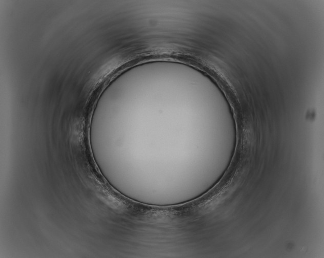 X0000090920778200708271024