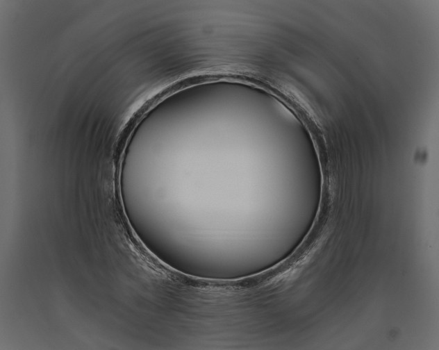 X0000090920781200708271023