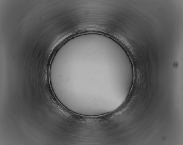 X0000090920782200708271023