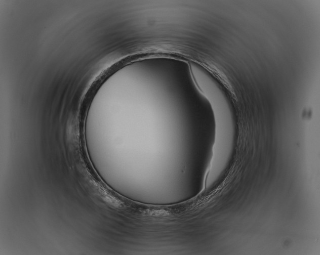 X0000090920784200708271023