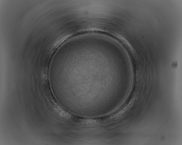 X0000090920785200708271023