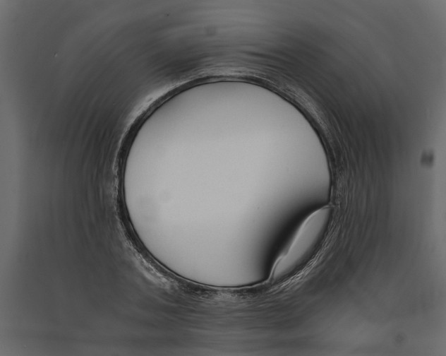 X0000090920787200708271023