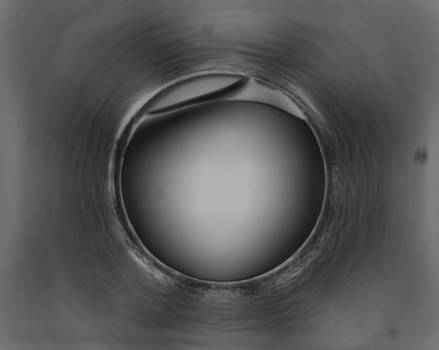 X0000090920788200708271023