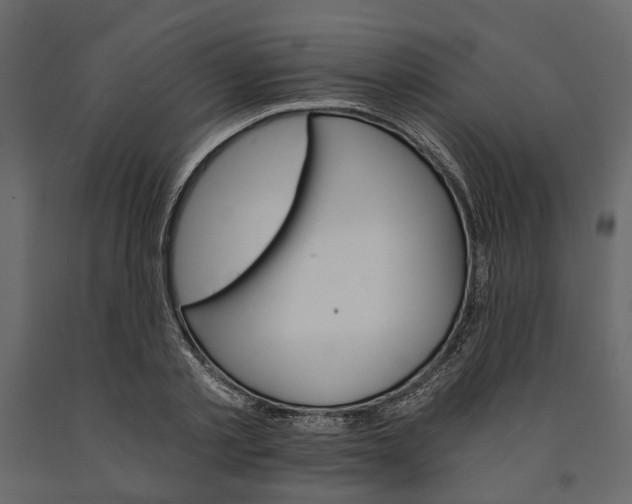 X0000090920789200708271023