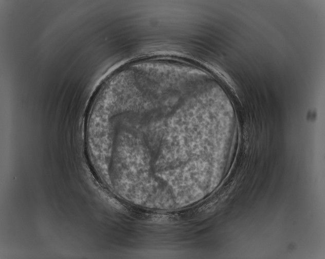 X0000090920790200708271023