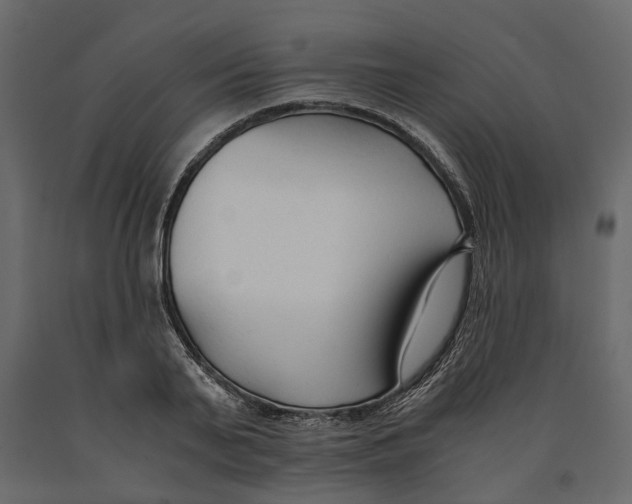 X0000090920791200708271023