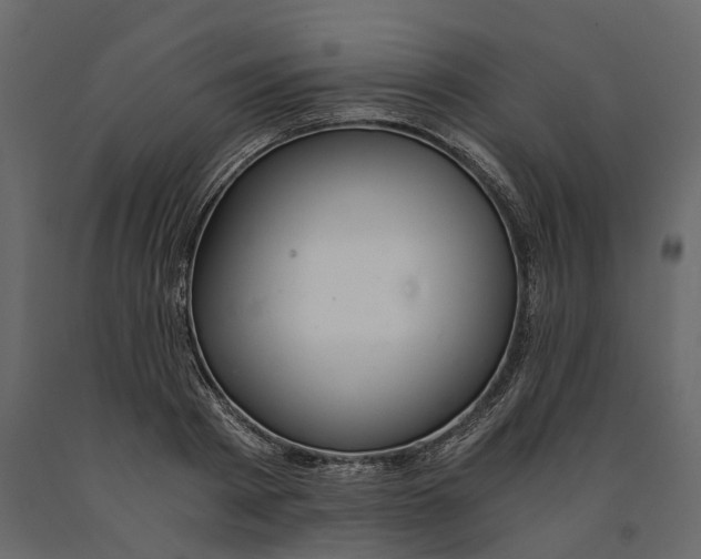 X0000090920793200708271023