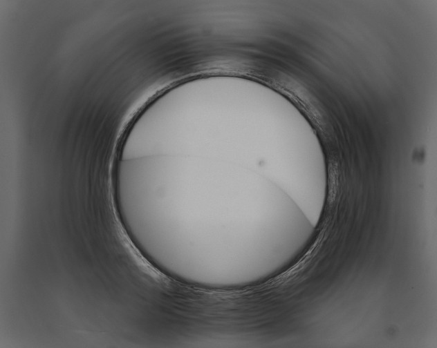 X0000090920796200708271023