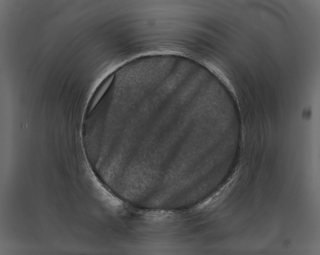 X0000090920797200708271023