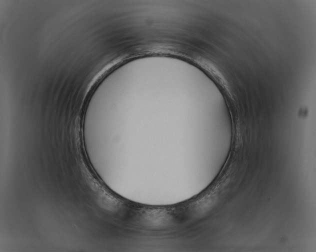 X0000090920798200708271023