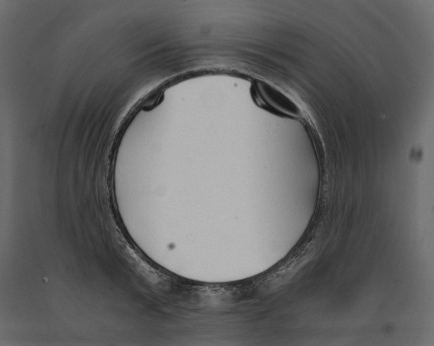 X0000090920799200708271023