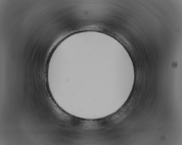 X0000090920800200708271023