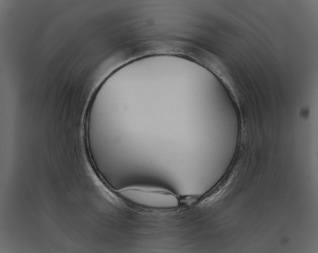 X0000090920803200708271023