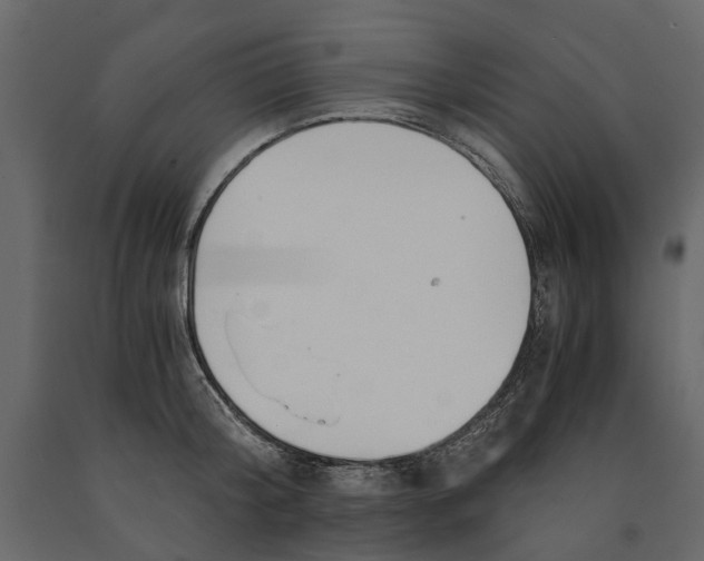 X0000090920804200708271023