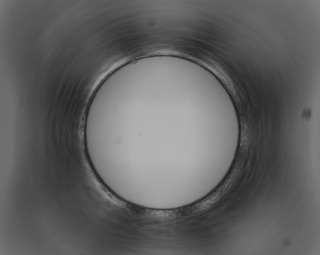 X0000090920806200708271023