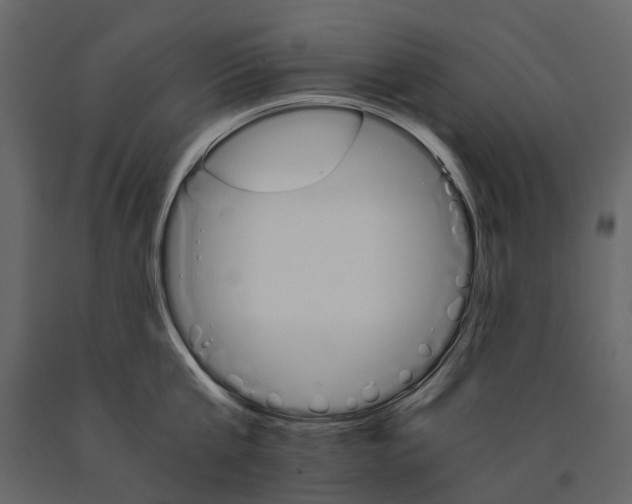 X0000090920807200708271023