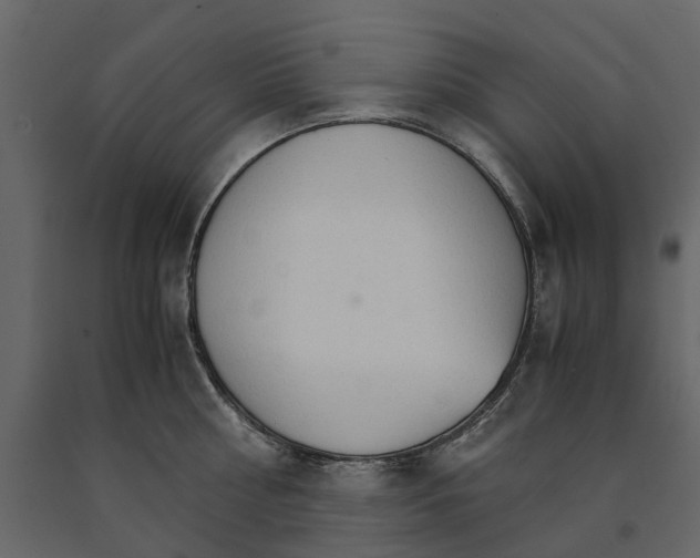 X0000090920810200708271023