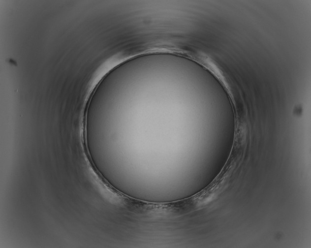 X0000090920811200708271023