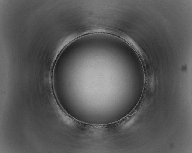 X0000090920813200708271023