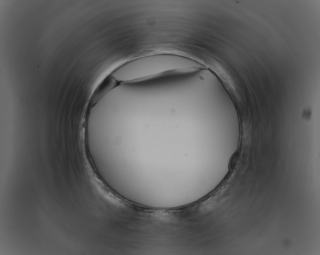 X0000090920814200708271023