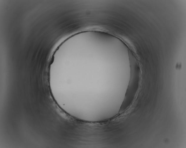 X0000090920816200708271023