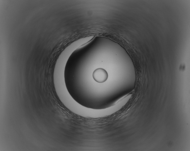 X0000090920818200708271022