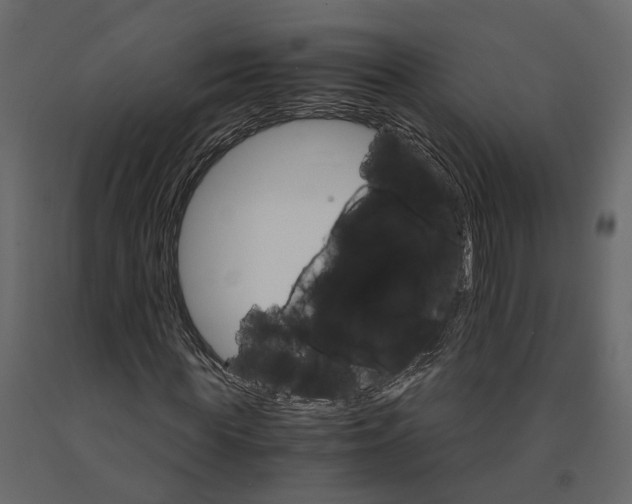 X0000090920819200708271022