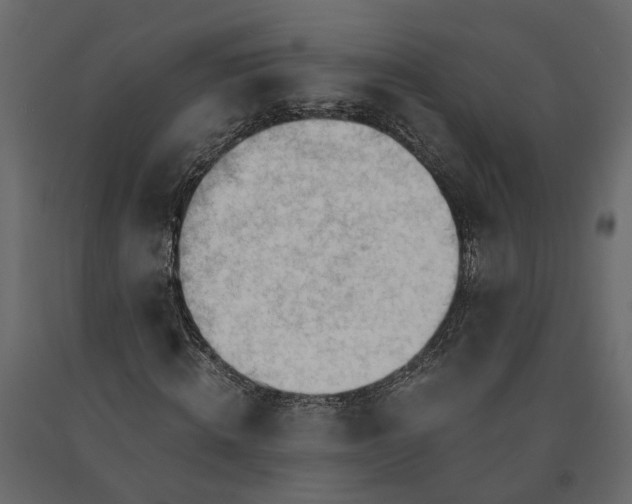 X0000090920820200708271022