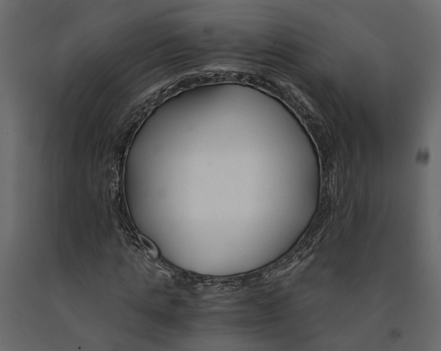 X0000090920821200708271023