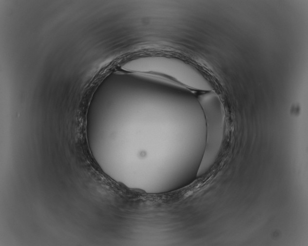 X0000090920822200708271023