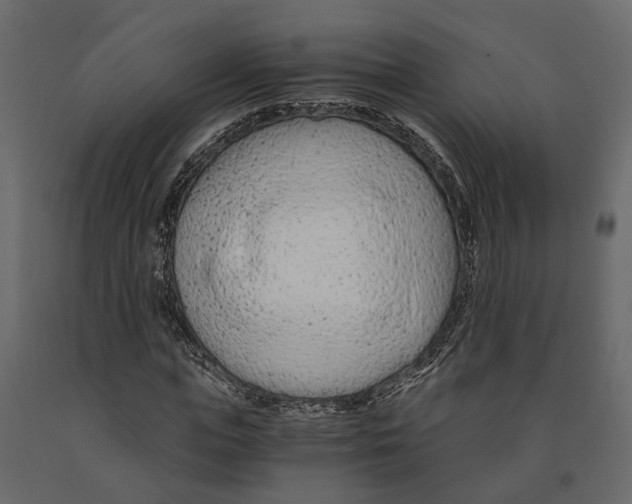 X0000090920823200708271023