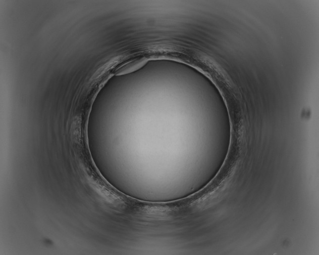 X0000090920825200708271023