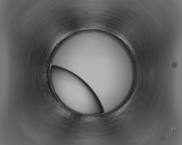 X0000090920826200708271023