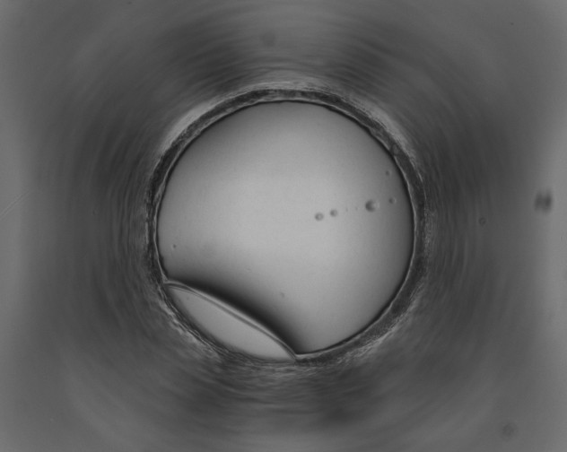 X0000090920829200708271023