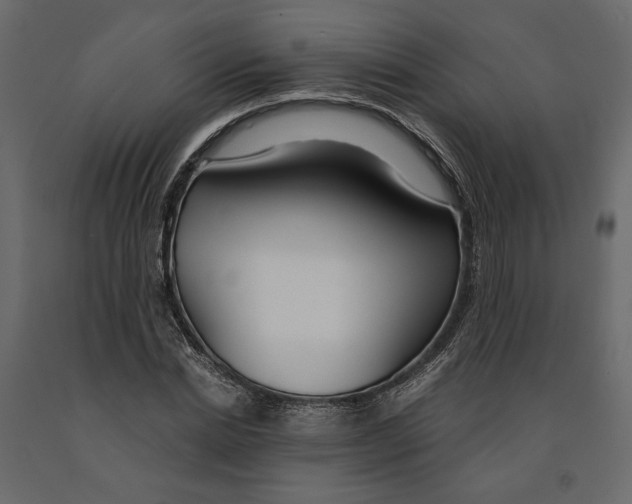 X0000090920830200708271023