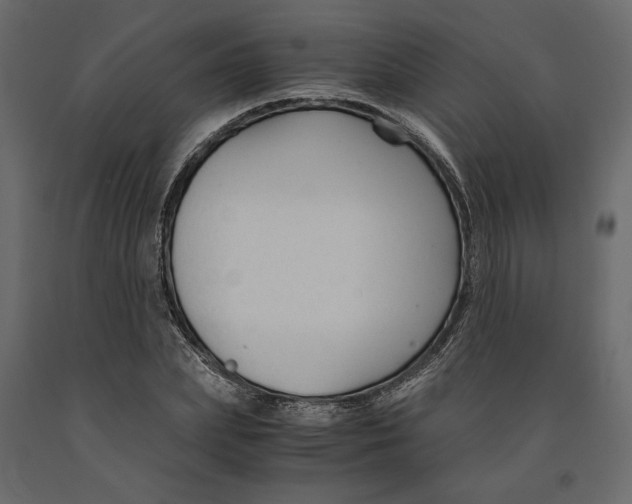 X0000090920831200708271023