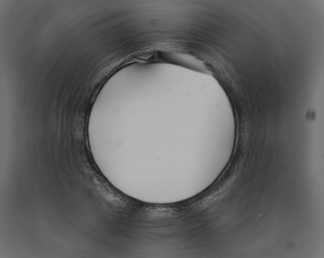 X0000090920833200708271023