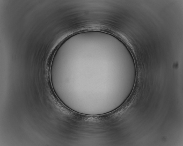 X0000090920835200708271023