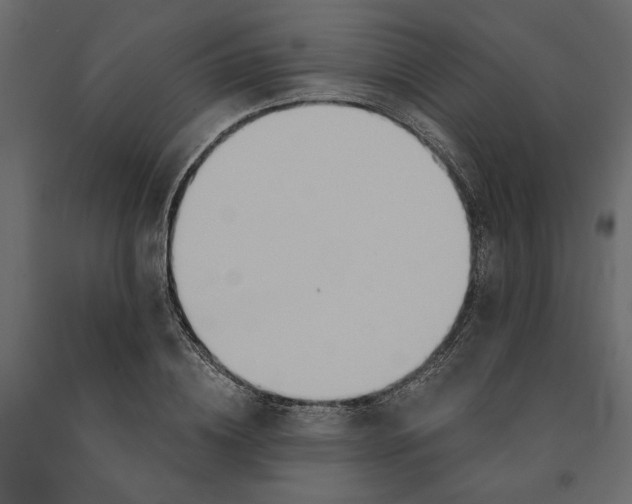 X0000090920836200708271023