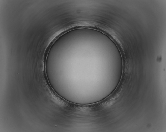 X0000090920837200708271023