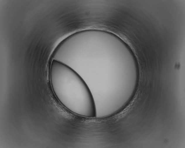 X0000090920838200708271023