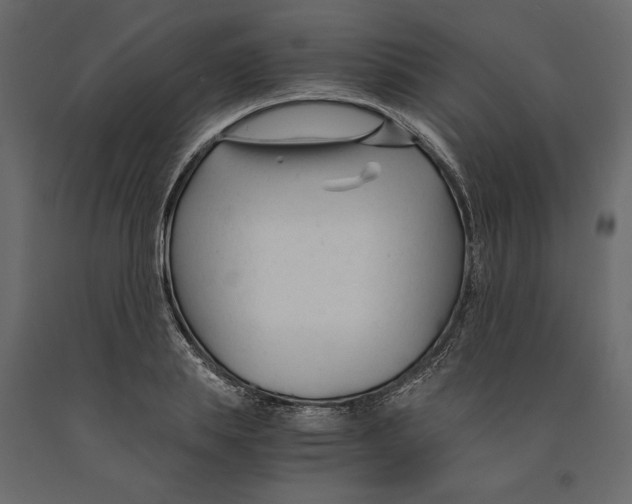 X0000090920839200708271023