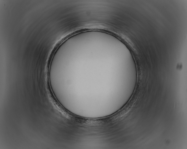 X0000090920840200708271023