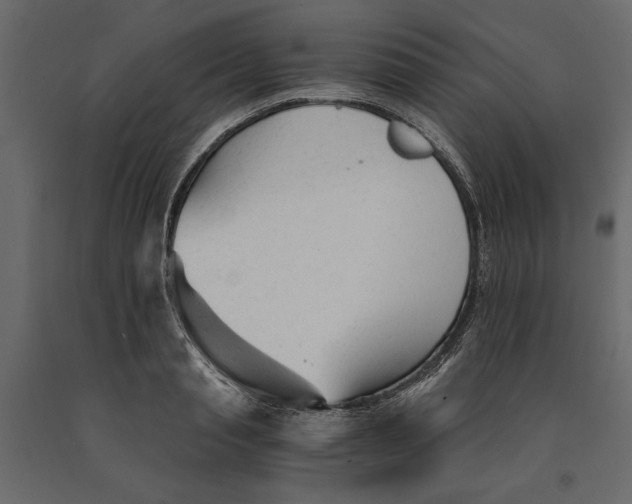 X0000090920845200708271023