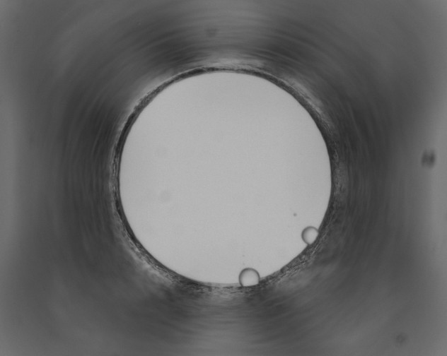 X0000090920848200708271023