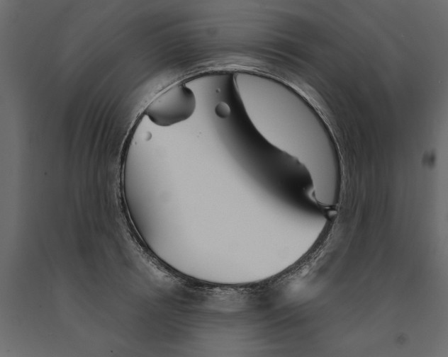 X0000090920850200708271023