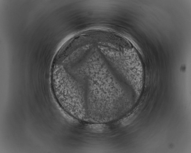 X0000090920853200708271023