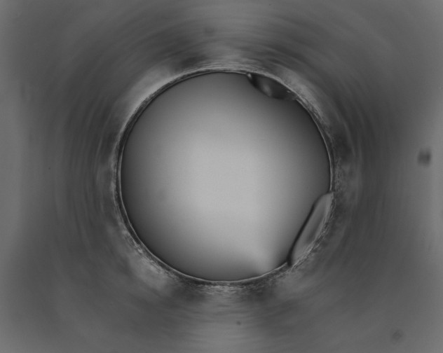 X0000090920854200708271023