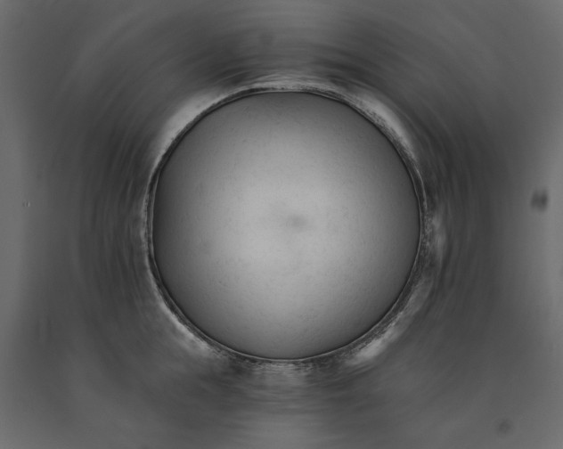 X0000090920855200708271023