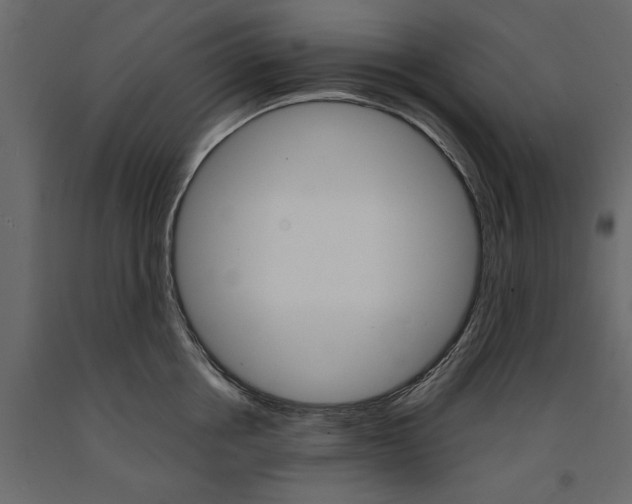 X0000090920858200708271023